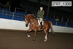07r7_1308 proof