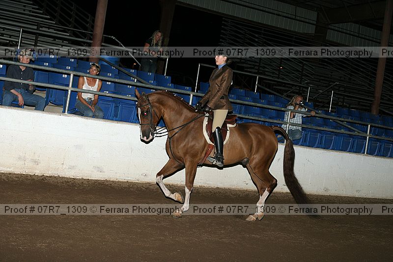 Proof 07r7_1309