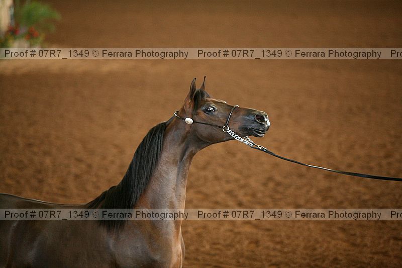 Proof 07r7_1349