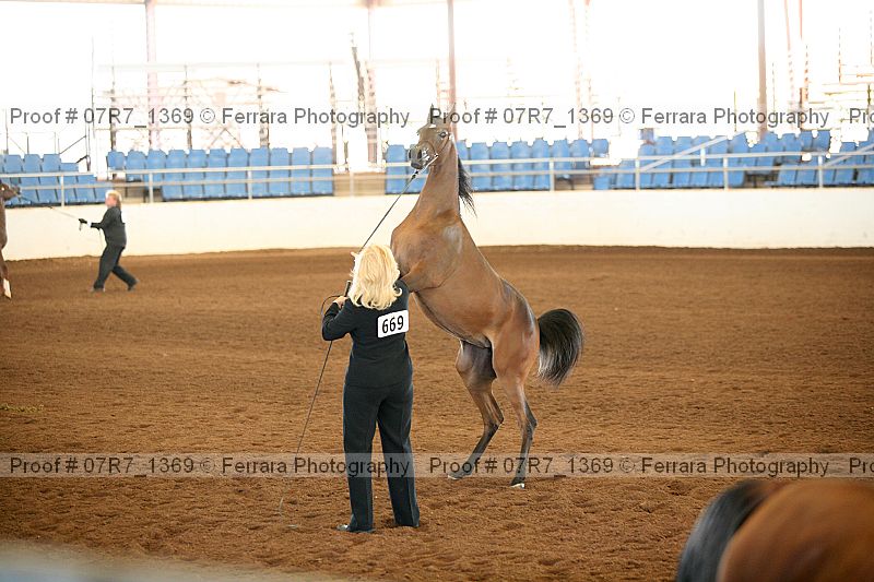 Proof 07r7_1369