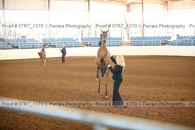 Proof 07r7_1370