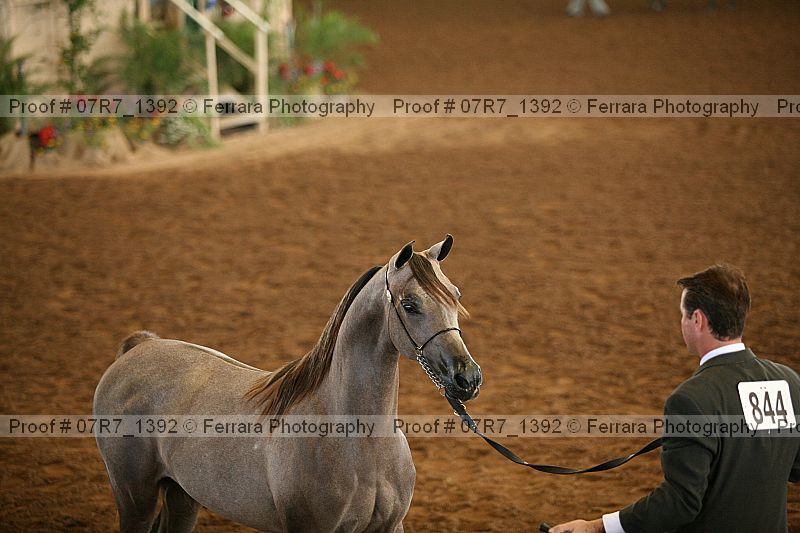 Proof 07r7_1392