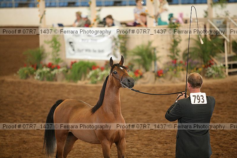 Proof 07r7_1437