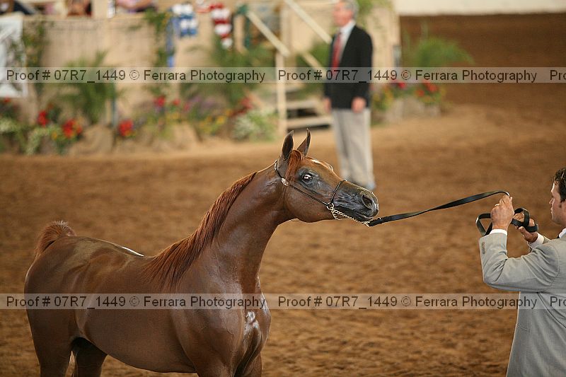 Proof 07r7_1449