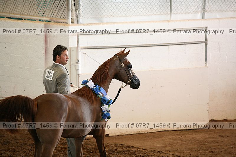 Proof 07r7_1459