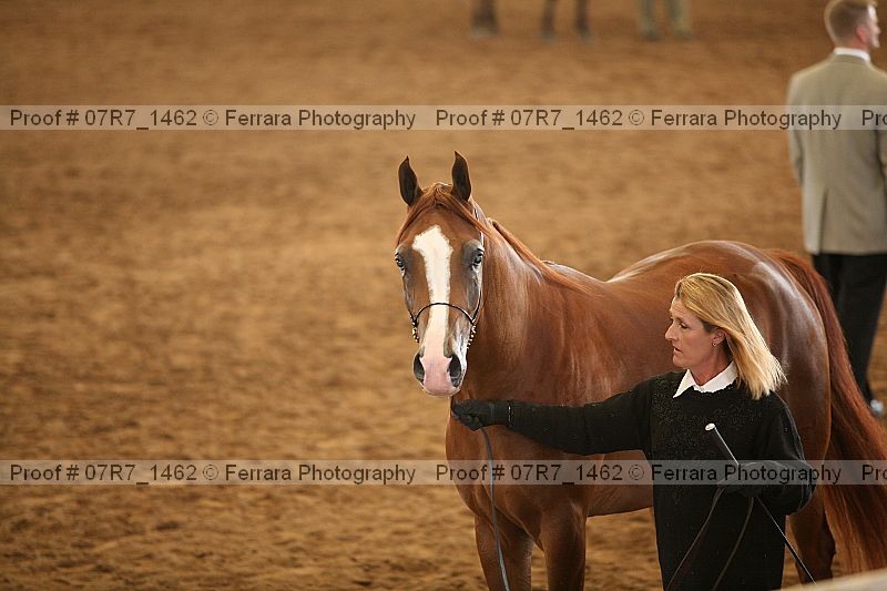 Proof 07r7_1462