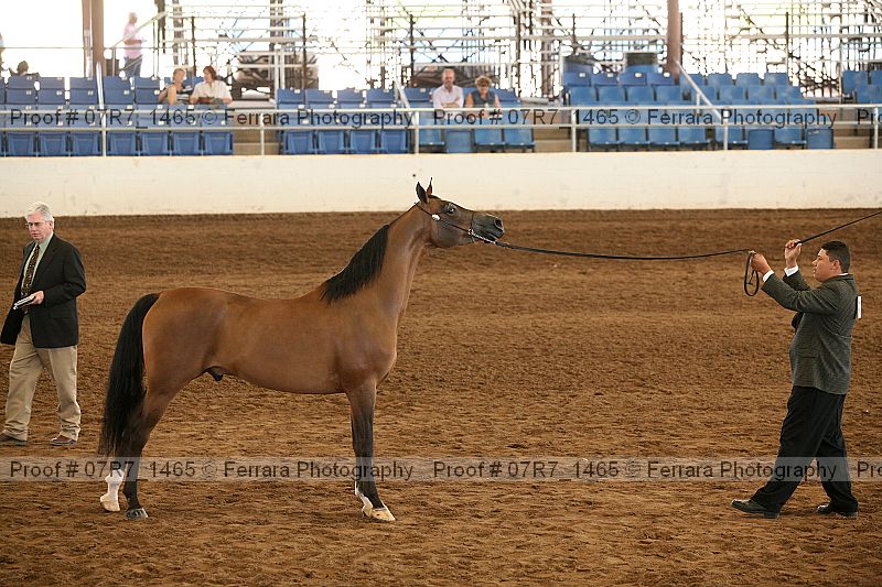 Proof 07r7_1465