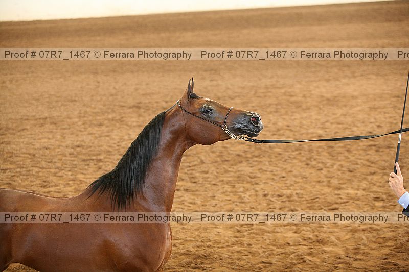 Proof 07r7_1467