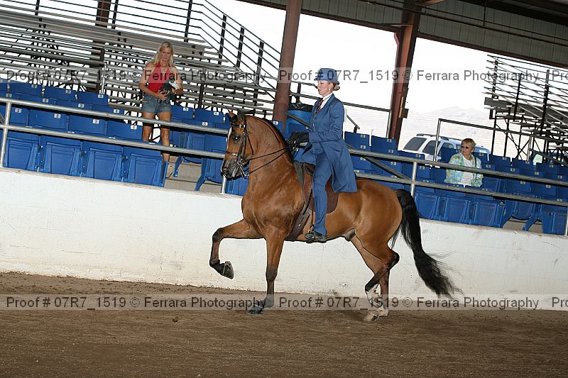 Proof 07r7_1519