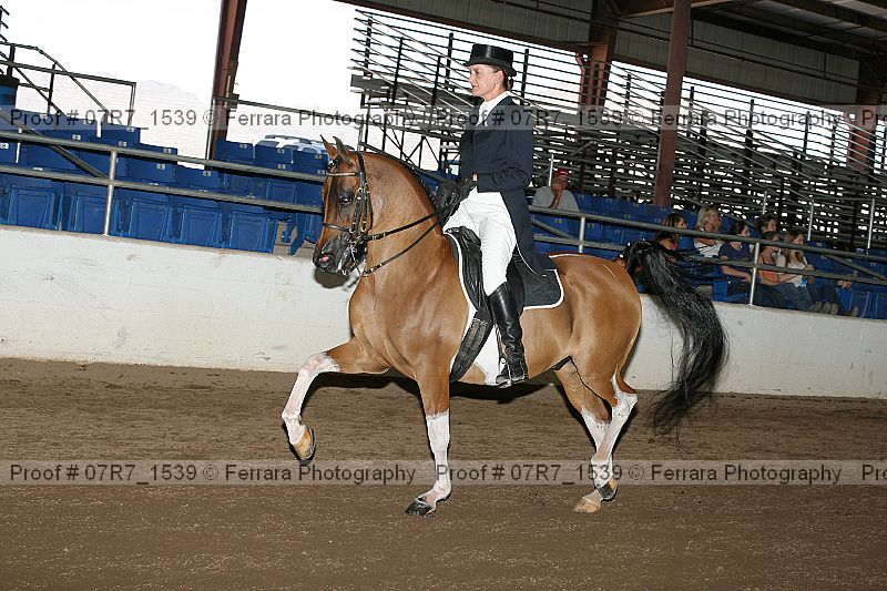 Proof 07r7_1539