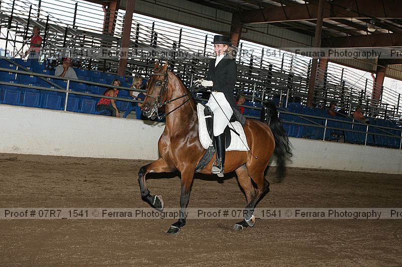 Proof 07r7_1541