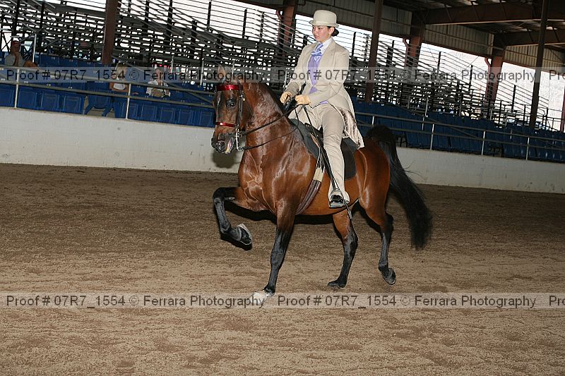 Proof 07r7_1554