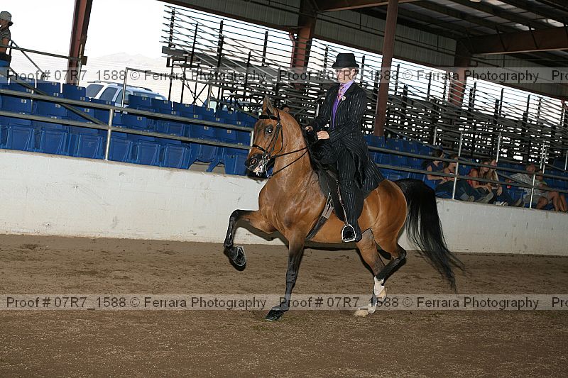 Proof 07r7_1588