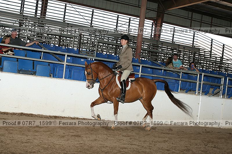 Proof 07r7_1599