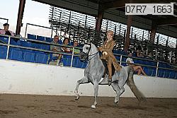07r7_1663 proof