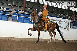07r7_1713 proof