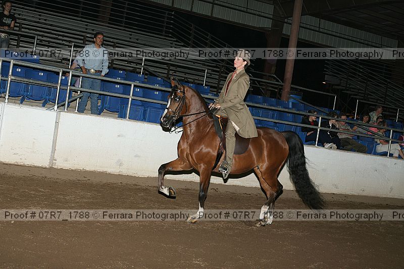 Proof 07r7_1788