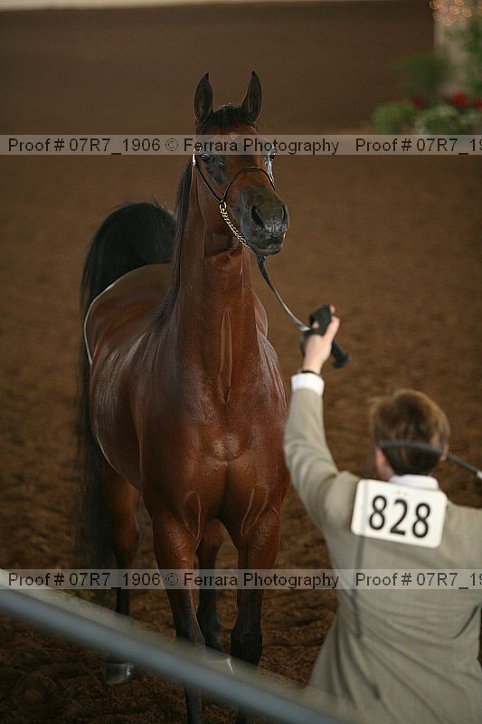 Proof 07r7_1906