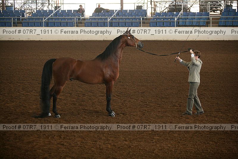 Proof 07r7_1911