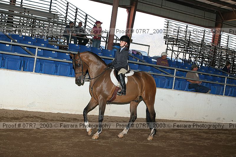 Proof 07r7_2003