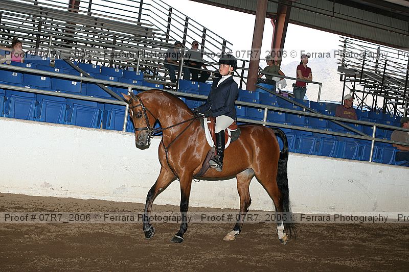 Proof 07r7_2006