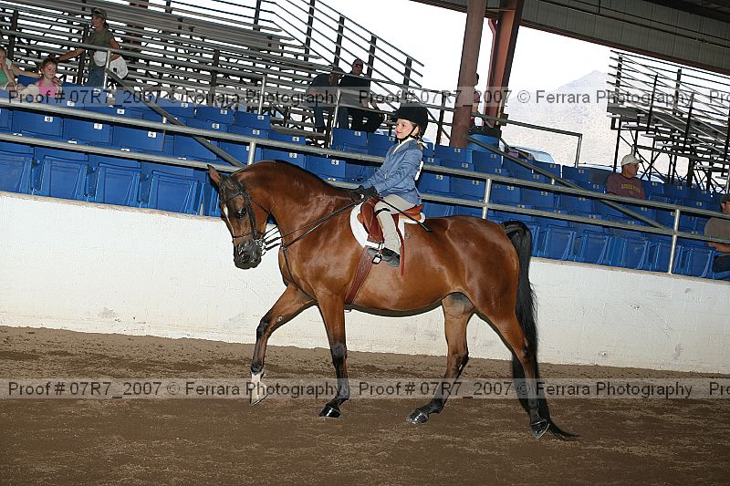 Proof 07r7_2007