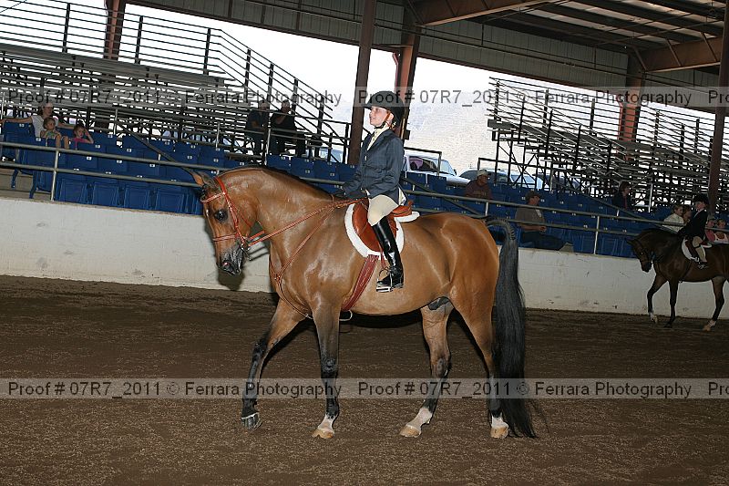 Proof 07r7_2011