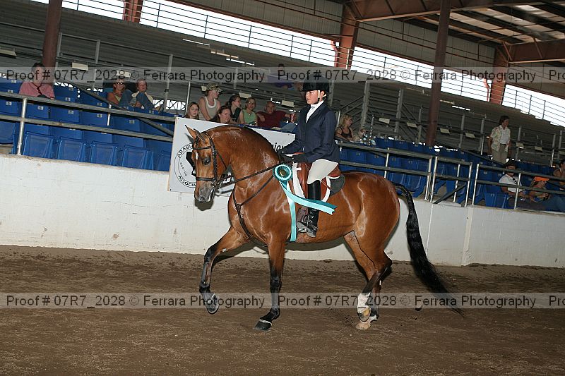 Proof 07r7_2028