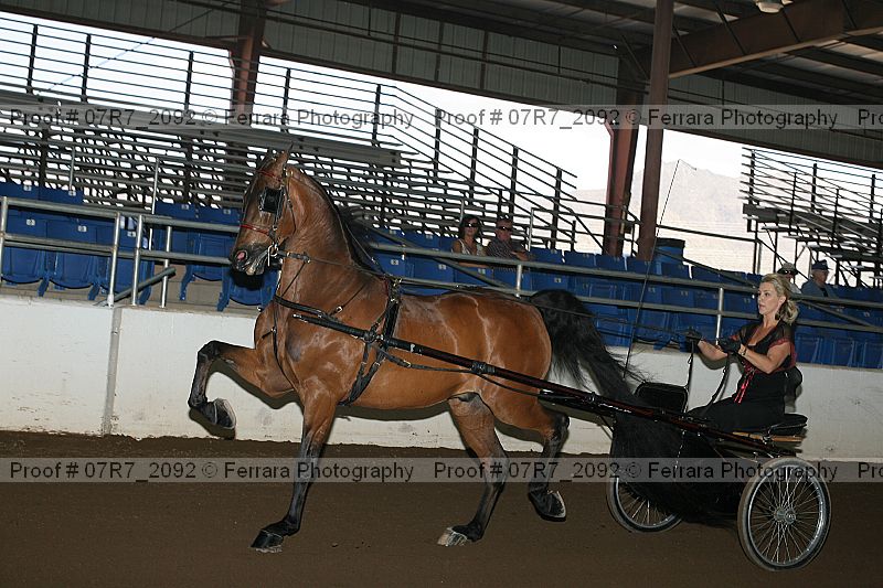 Proof 07r7_2092