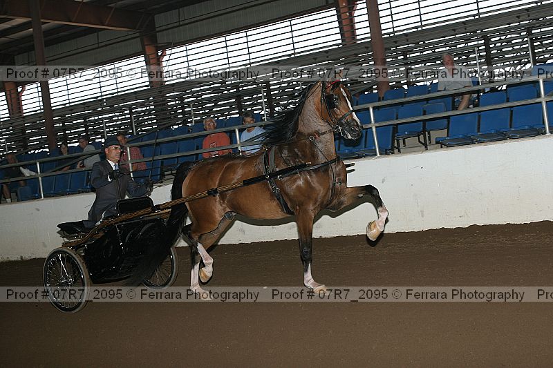 Proof 07r7_2095