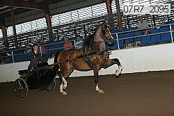 07r7_2095 proof