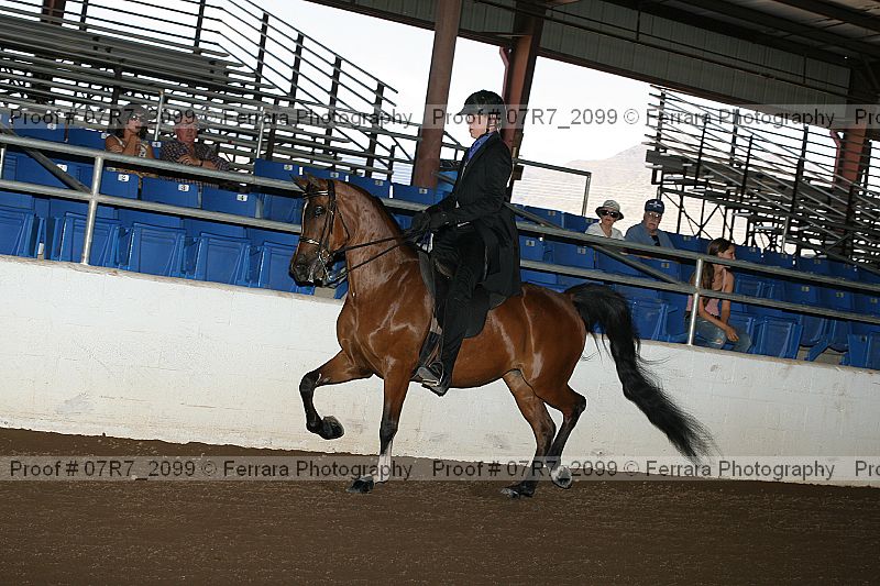 Proof 07r7_2099