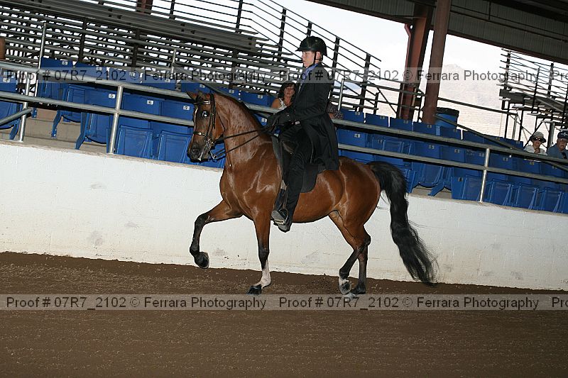 Proof 07r7_2102