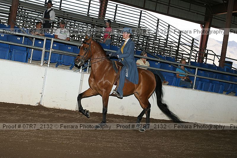 Proof 07r7_2132