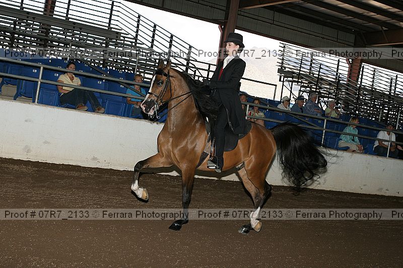 Proof 07r7_2133