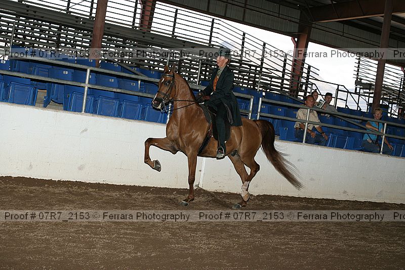 Proof 07r7_2153