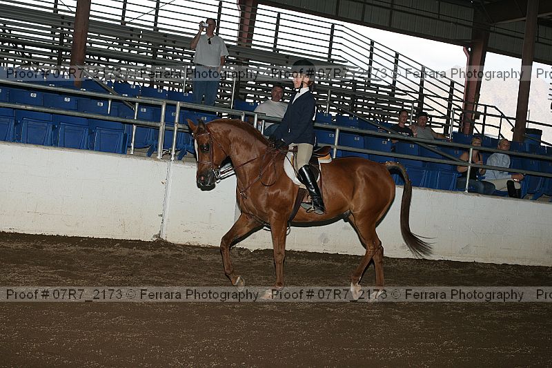 Proof 07r7_2173