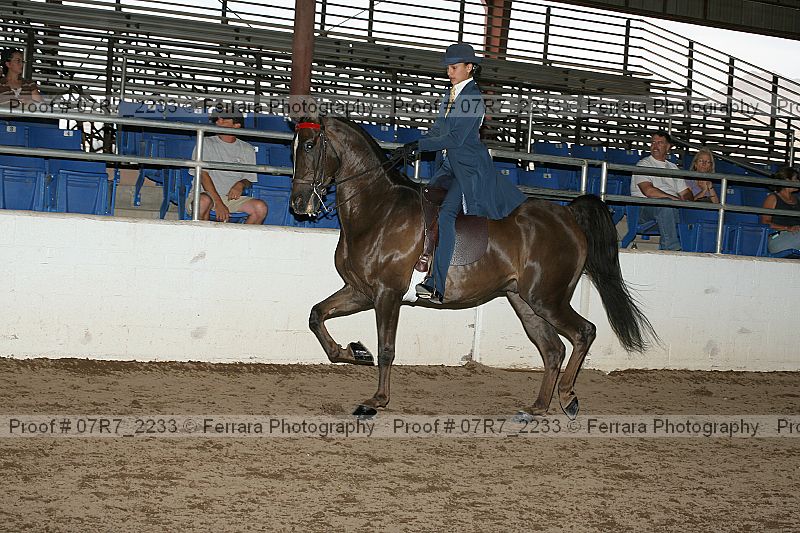 Proof 07r7_2233