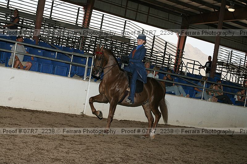 Proof 07r7_2238