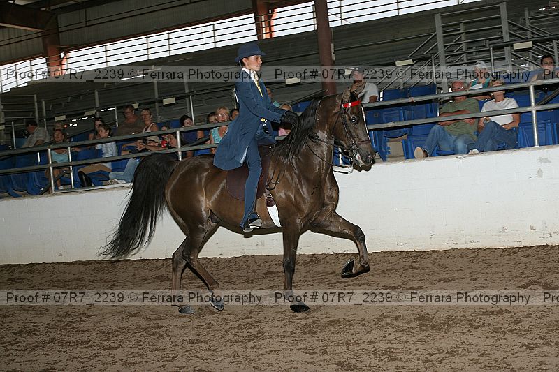 Proof 07r7_2239