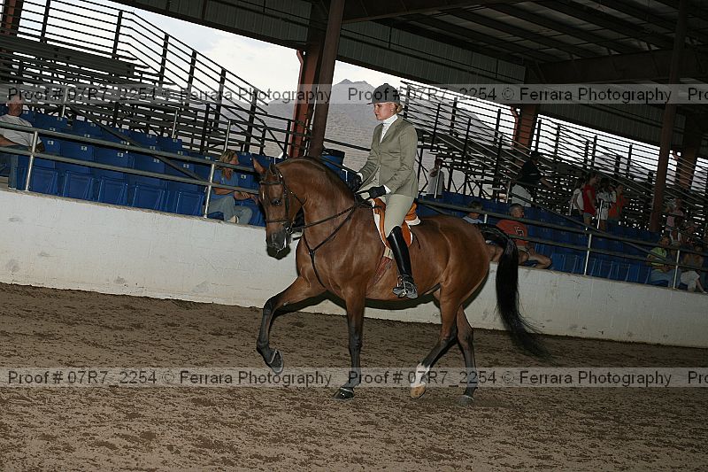 Proof 07r7_2254