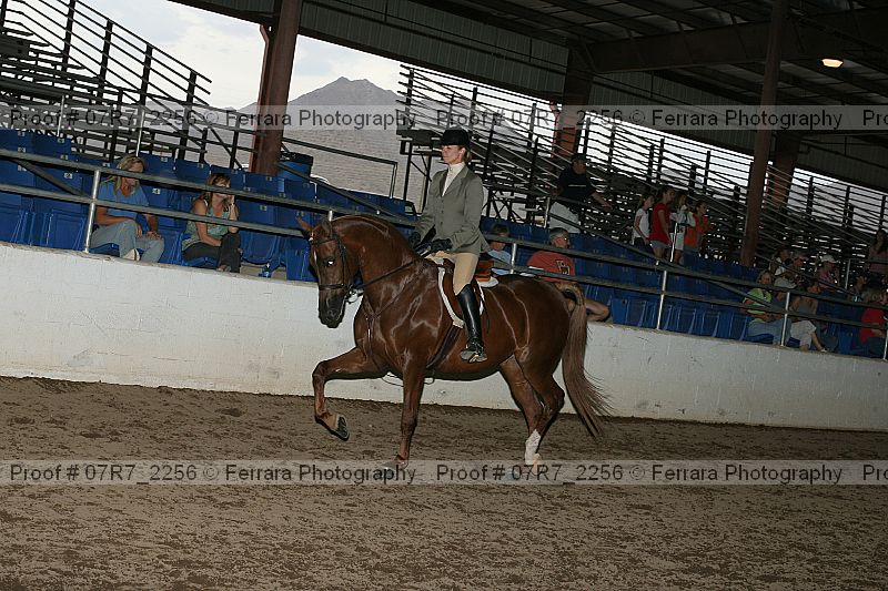 Proof 07r7_2256
