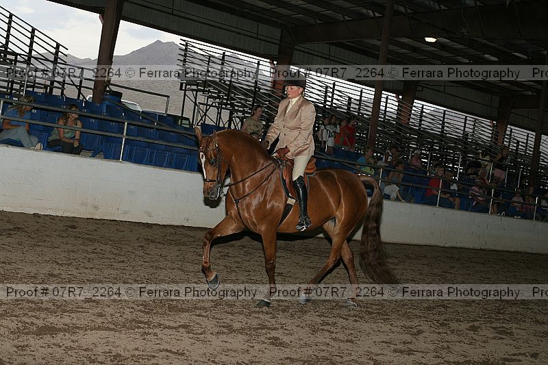 Proof 07r7_2264