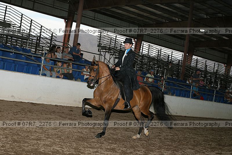 Proof 07r7_2276