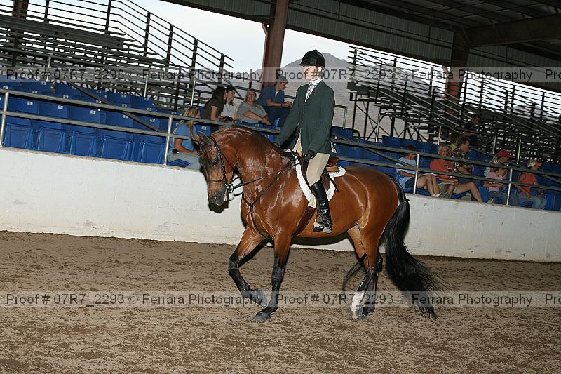 Proof 07r7_2293