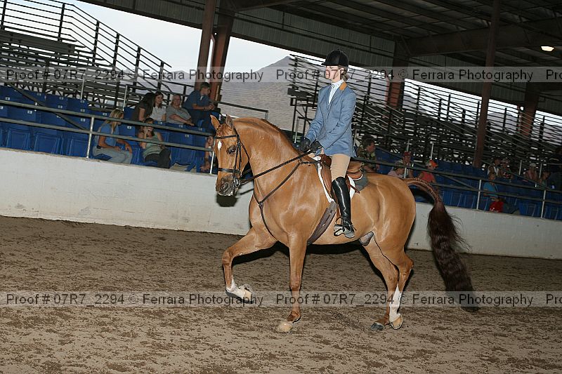 Proof 07r7_2294