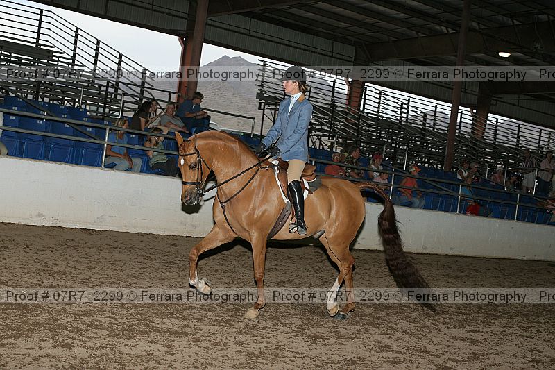 Proof 07r7_2299