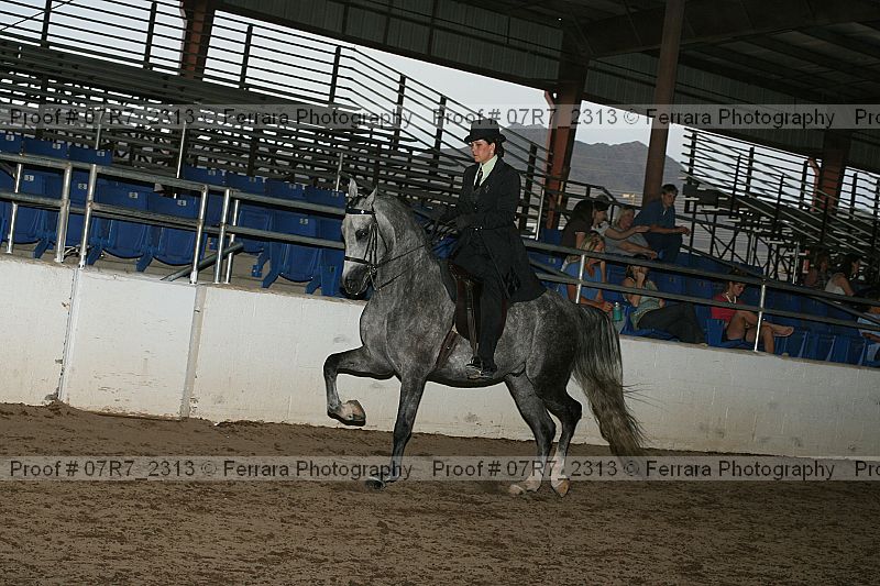 Proof 07r7_2313