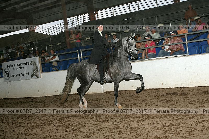 Proof 07r7_2317