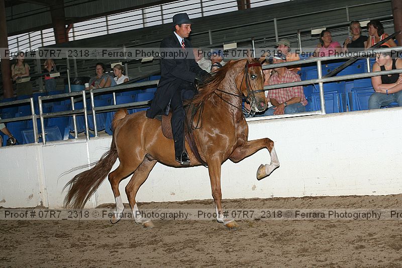 Proof 07r7_2318